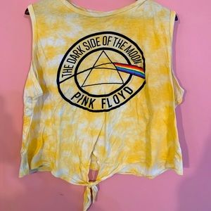 Pink Floyd Crop Top- Plus Size